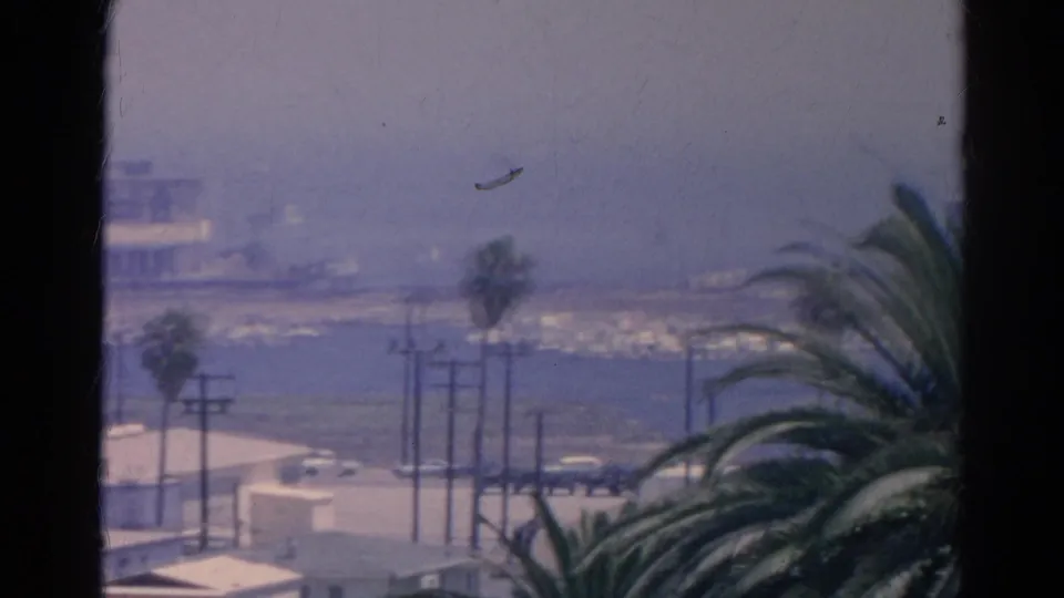 Hazy 1966 California waterfront scene with palm trees, moored boats, rooftops, and dark window trim at the frame edges.