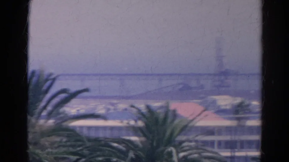Soft 8mm view of a California waterfront with palm fronds, low buildings, hazy water, and a distant shoreline structure.