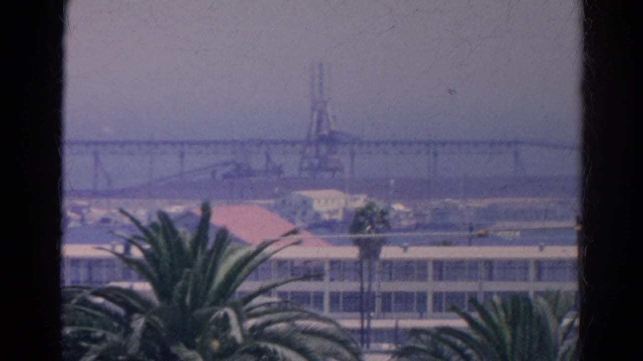 Palm trees, low buildings, a distant bridge, and a crane seen through a dark window frame.