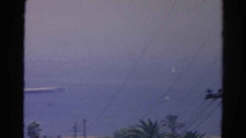 Soft 1966 8mm frame of water, diagonal power lines, palm fronds, and a dark window edge.