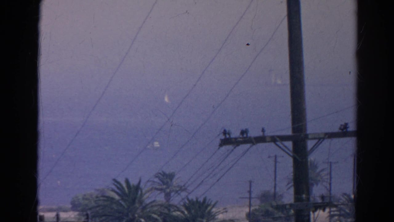 Hazy view of utility poles, power lines, palm trees, and distant water through dark film-frame edges.