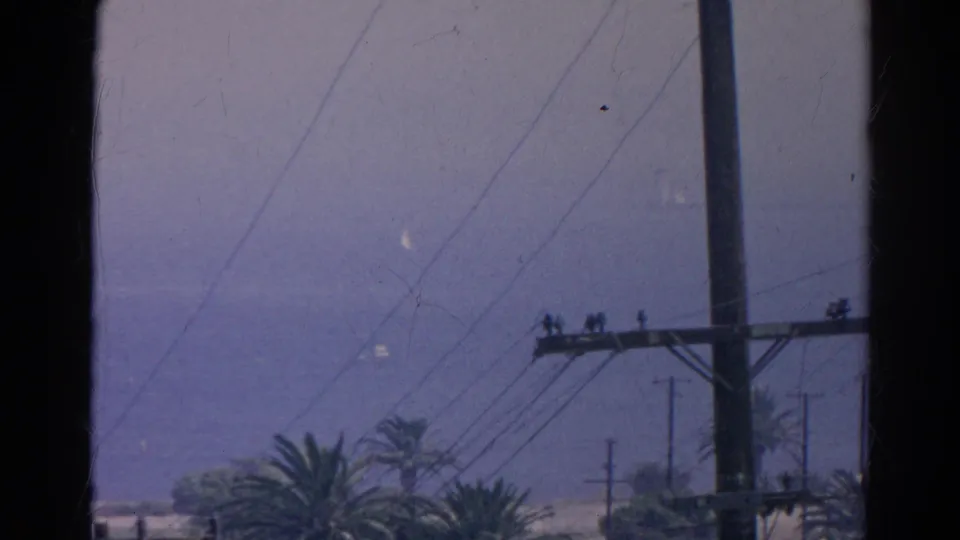 1966 Silver Lake-area 8mm frame with utility poles, crisscrossing wires, palm trees, and a hazy distant horizon.