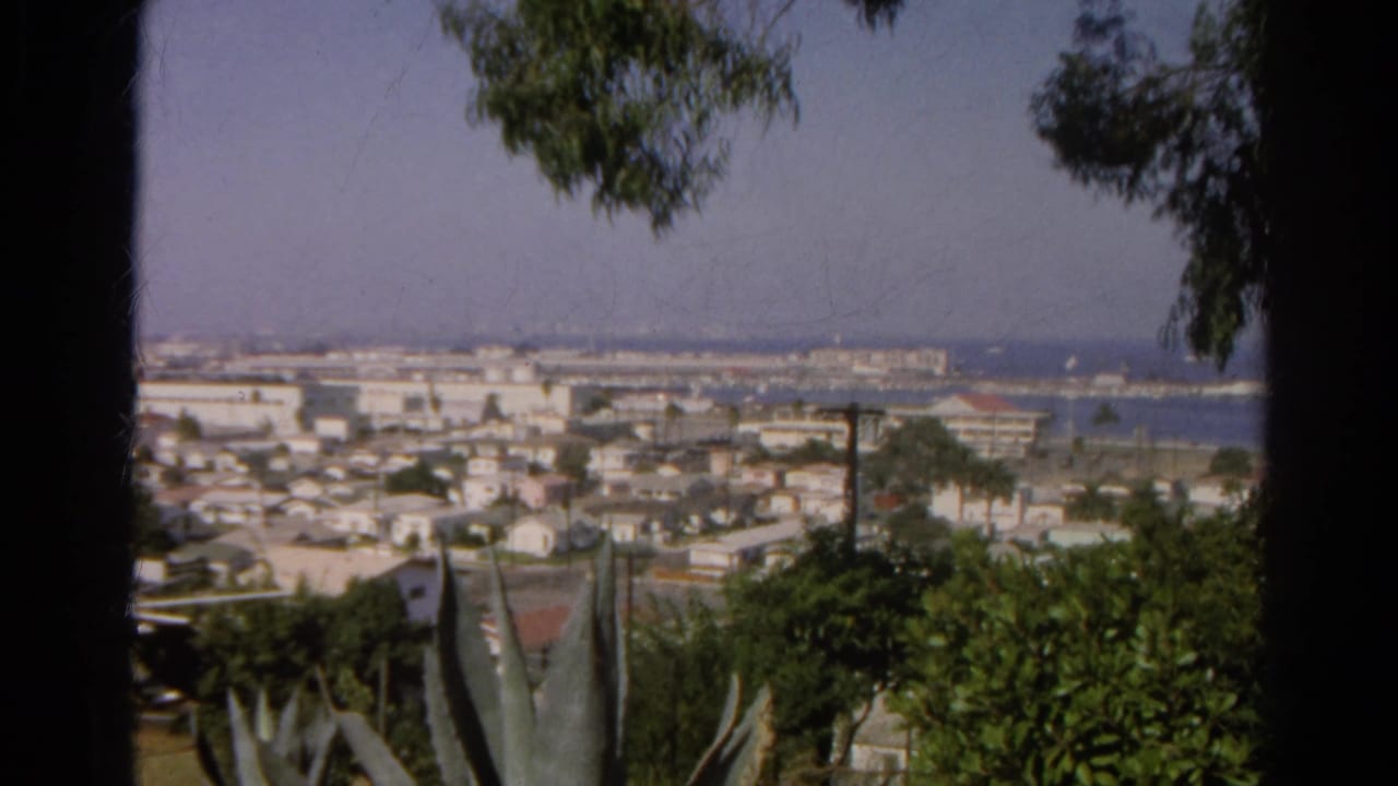 Elevated city and harbor view framed by dark trees and agave leaves.