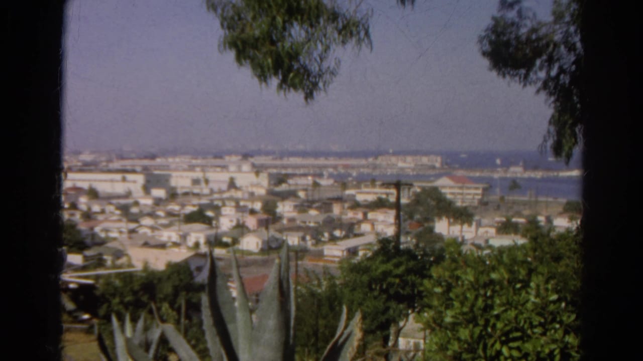 Distant coastal cityscape with harbor water seen between trees.