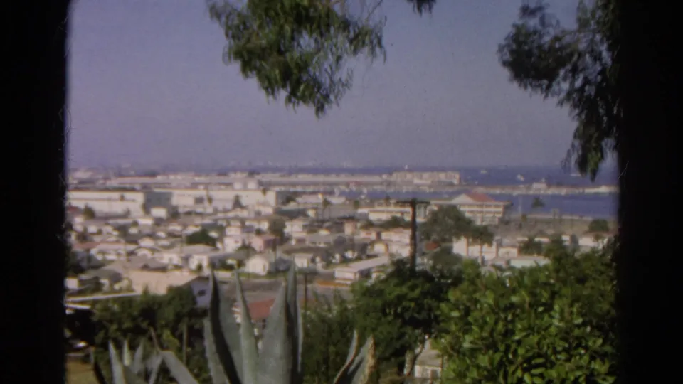1966 Silver Lake, California frame with agave in the foreground and a distant harbor beyond a dense residential neighborhood.