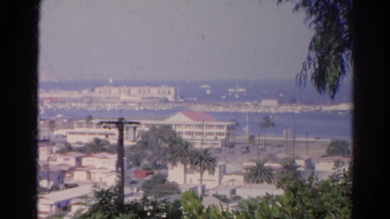 Elevated view over palm trees and buildings toward harbor water and boats.