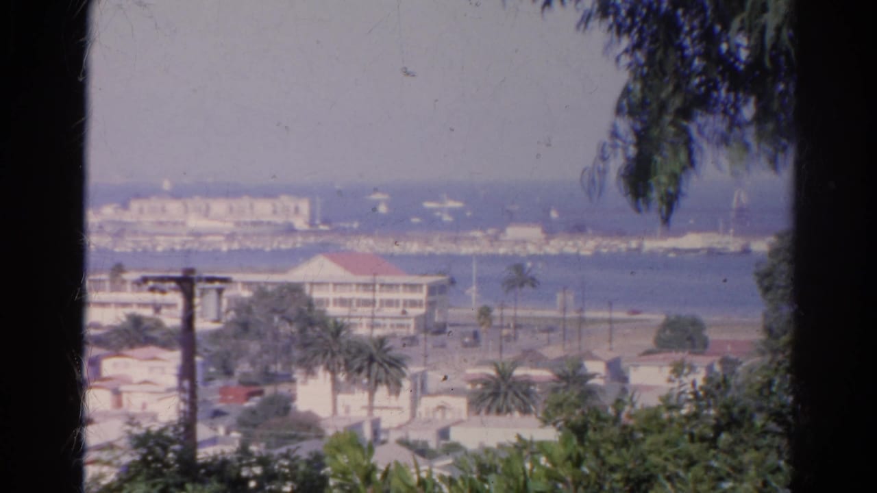 Harbor and waterfront buildings seen through dark tree framing and hanging leaves.