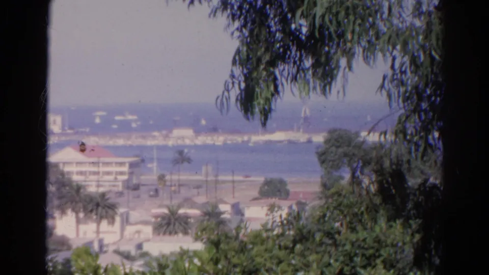 1966 8mm frame of a coastal or harbor view through trees, with palms, white buildings, blue water, and a hazy horizon.