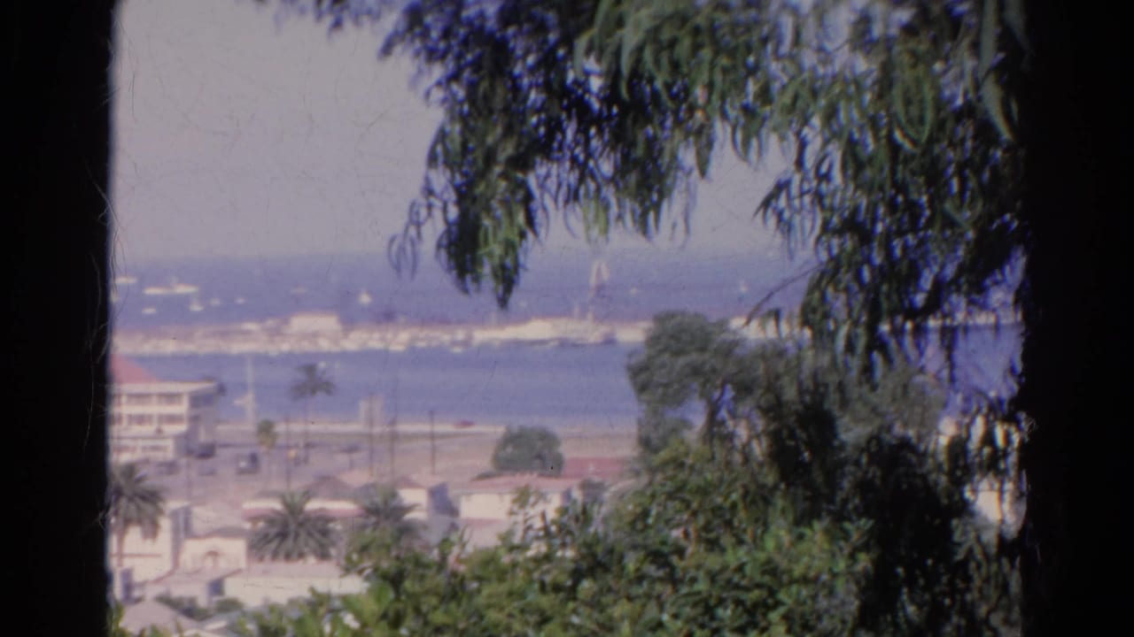 Tree-framed seaside town view with blue water, low buildings, palms, and distant boats.