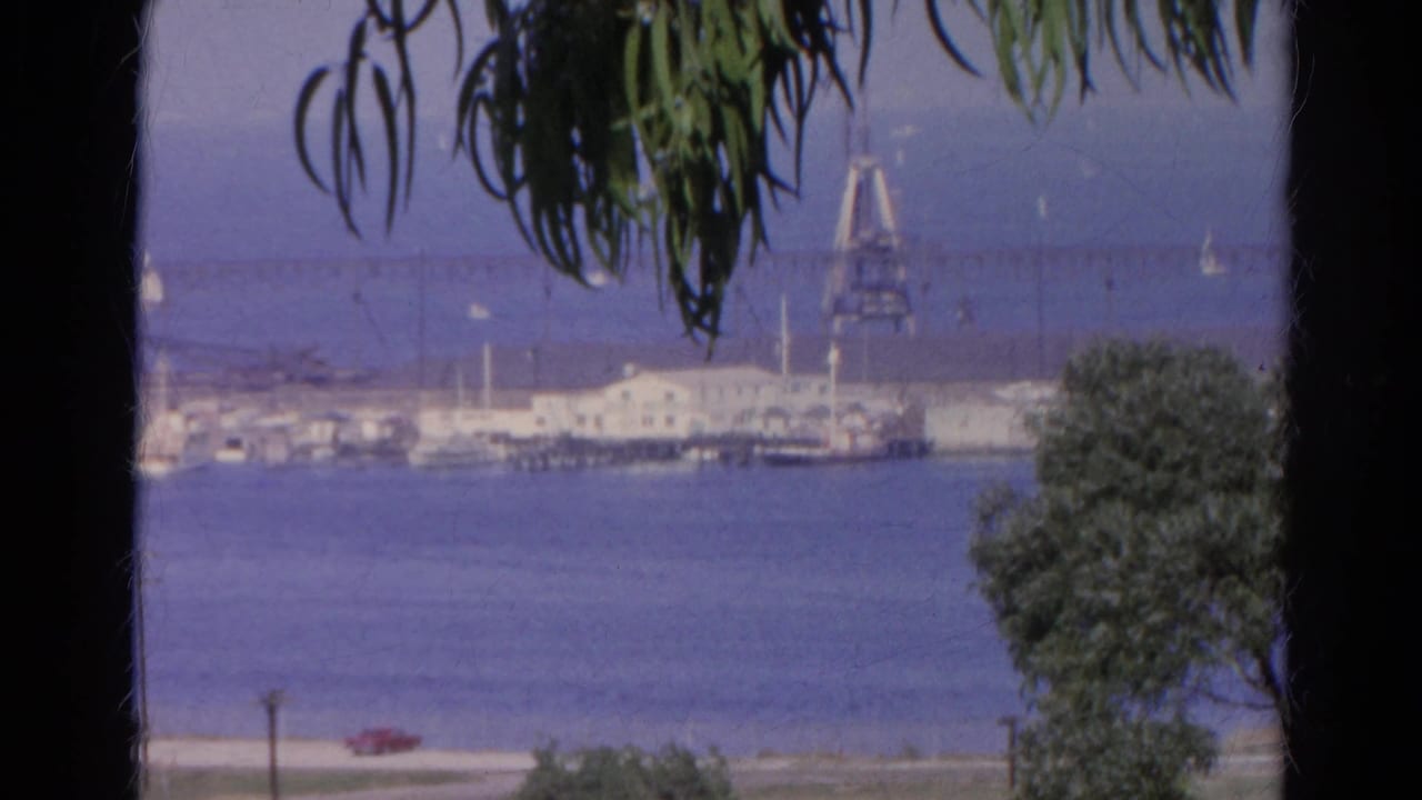 1966 8mm harbor overlook with a waterfront facility, moored boats, blue water, foreground foliage, and a small red car below.