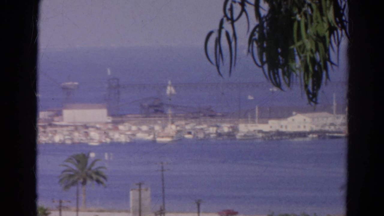 Cataloged 1966 California 8mm frame of a harbor shoreline with boats, palm tree, waterfront buildings, and tree-shadowed foreground.