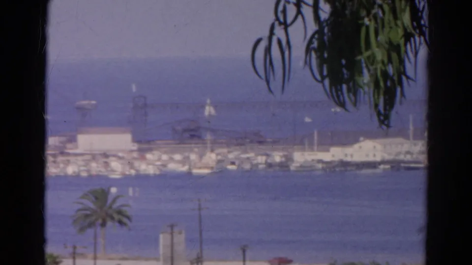 Cataloged 1966 California 8mm frame of a harbor shoreline with boats, palm tree, waterfront buildings, and tree-shadowed foreground.