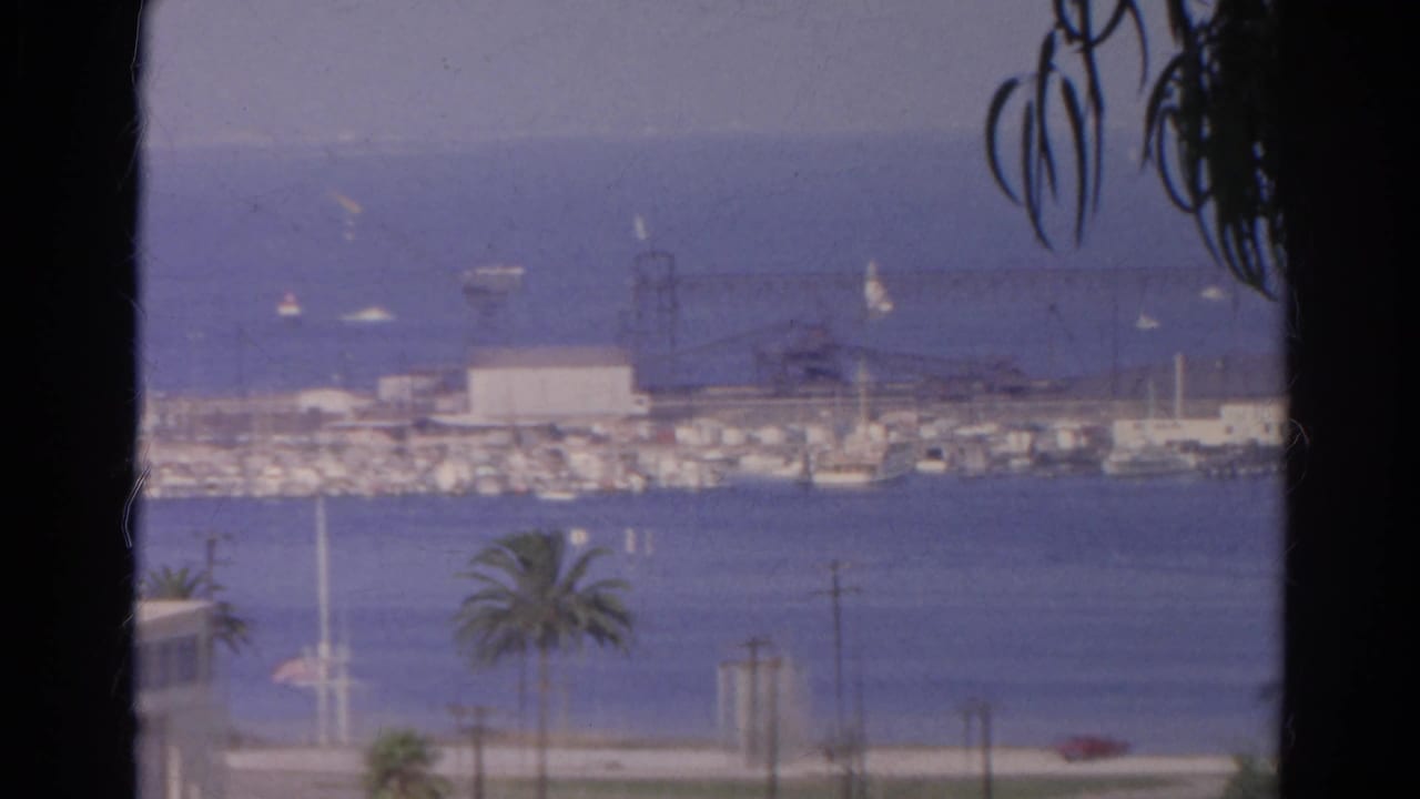 Elevated harbor view with sailboats, breakwater, palm tree, and waterfront buildings.