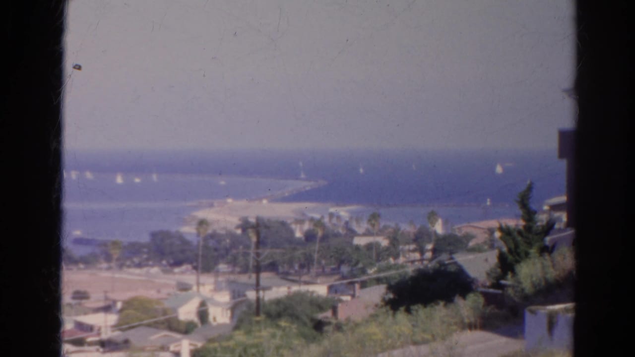Coastal neighborhood below an elevated viewpoint, with palms, beach, ocean, and sailboats.