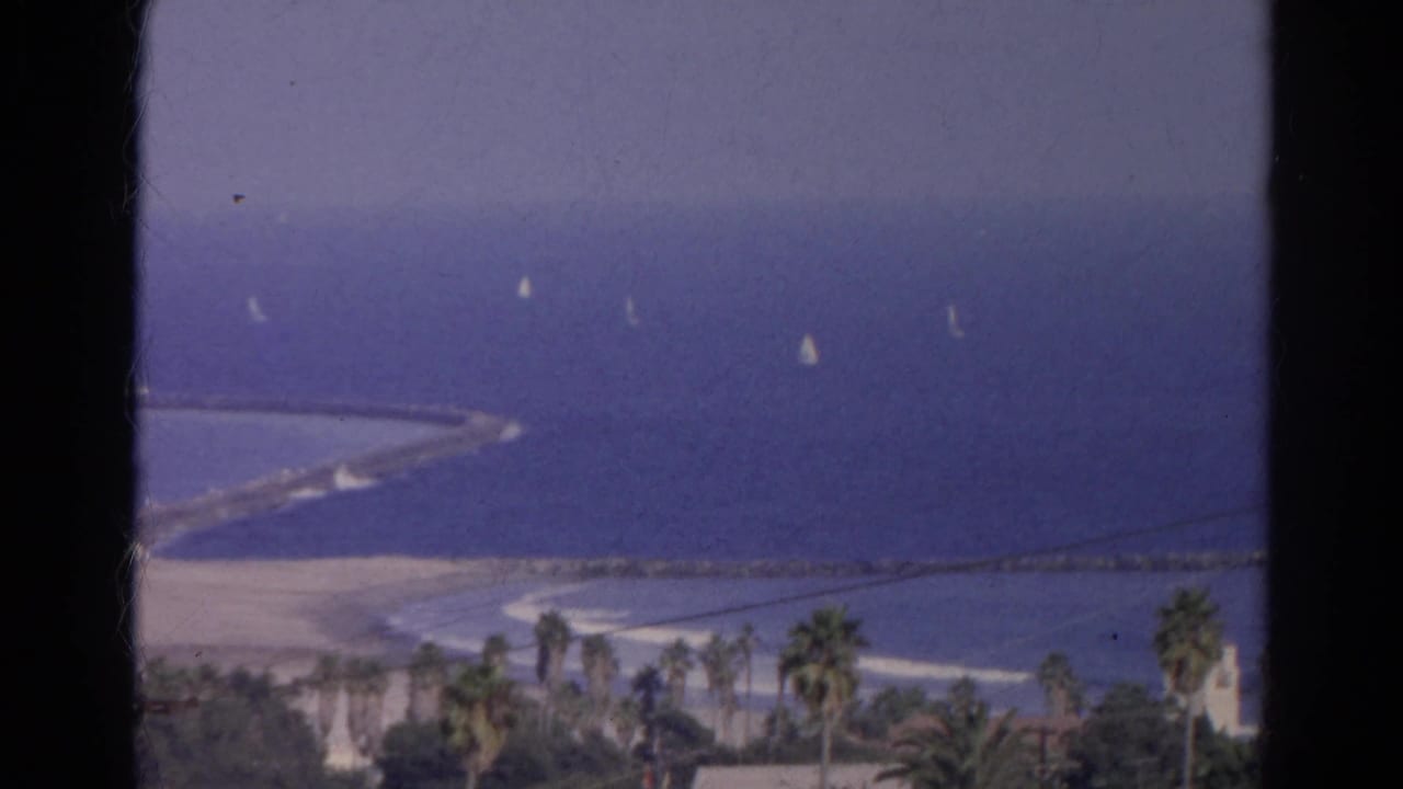 Blue sea with sailboats near a long breakwater and palm trees along the lower shore.