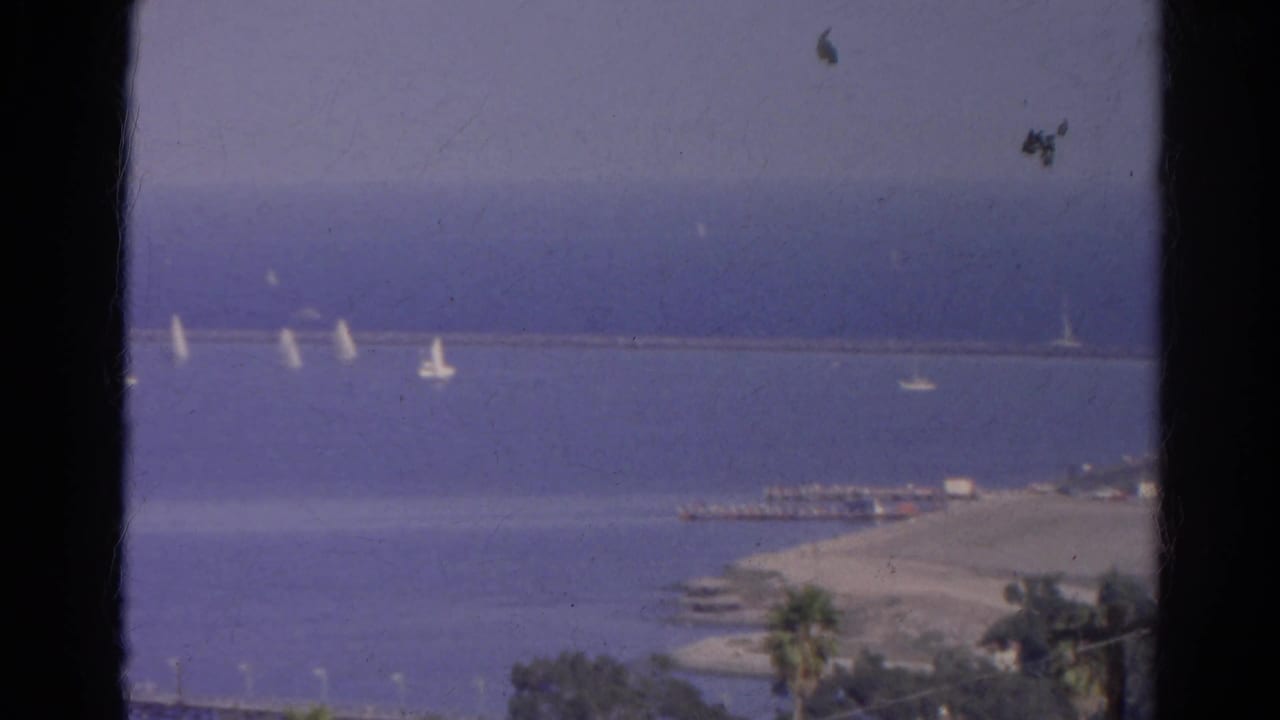 Vintage 8mm coastal frame from 1966 showing sailboats on blue water near a shoreline pier area, with palm trees and visible film wear.