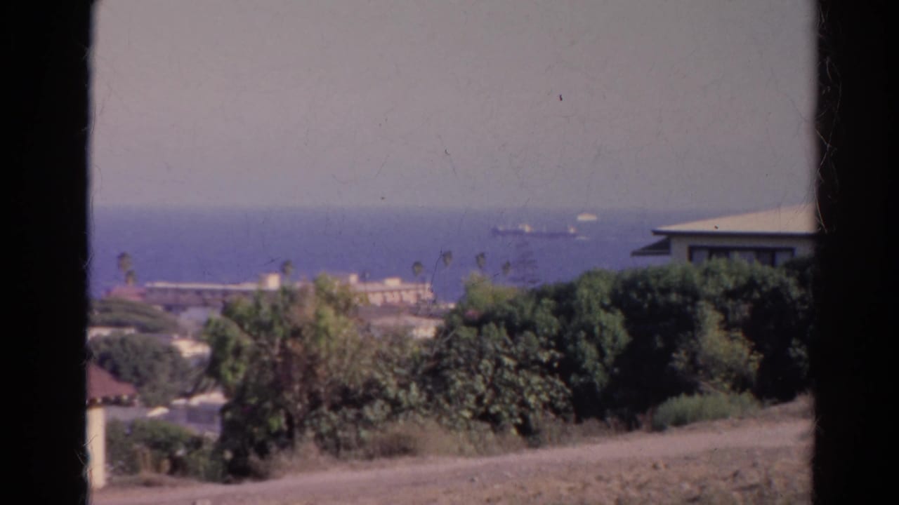 Ocean view with foreground trees, low coastal buildings, horizon, and small ships in the distance.