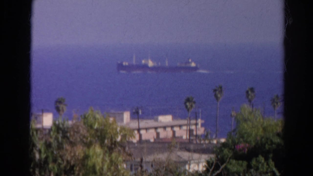 Cargo ship offshore seen beyond palm trees and low buildings, framed by dark vertical edges.