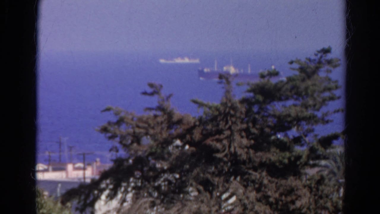 Soft 8mm frame from Silver Lake showing distant vessels over blue water behind a tree, rooftops, and utility poles.