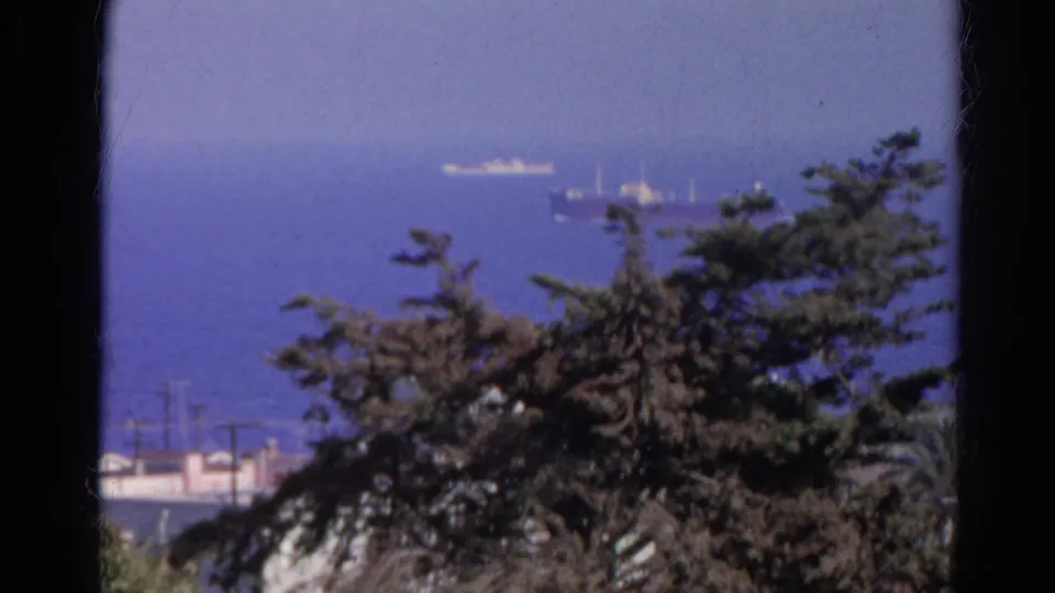 Soft 8mm frame from Silver Lake showing distant vessels over blue water behind a tree, rooftops, and utility poles.
