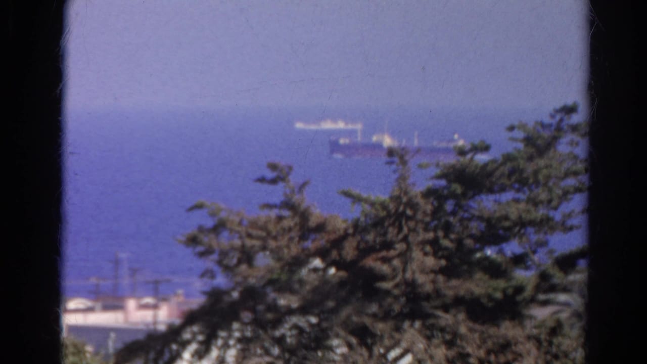 Distant ships on blue water seen past dark tree branches and shoreline utility poles.
