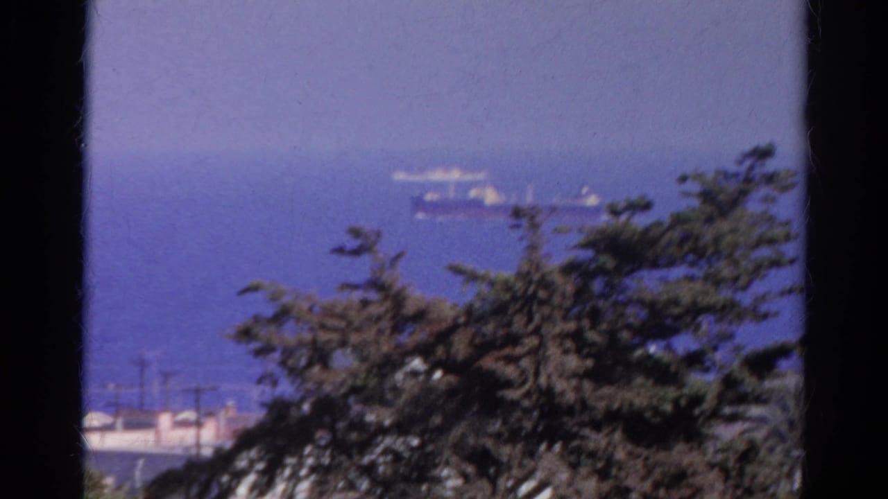 Distant ships appear on the hazy ocean in this 1966 Silver Lake view, with trees and shoreline utility poles below.