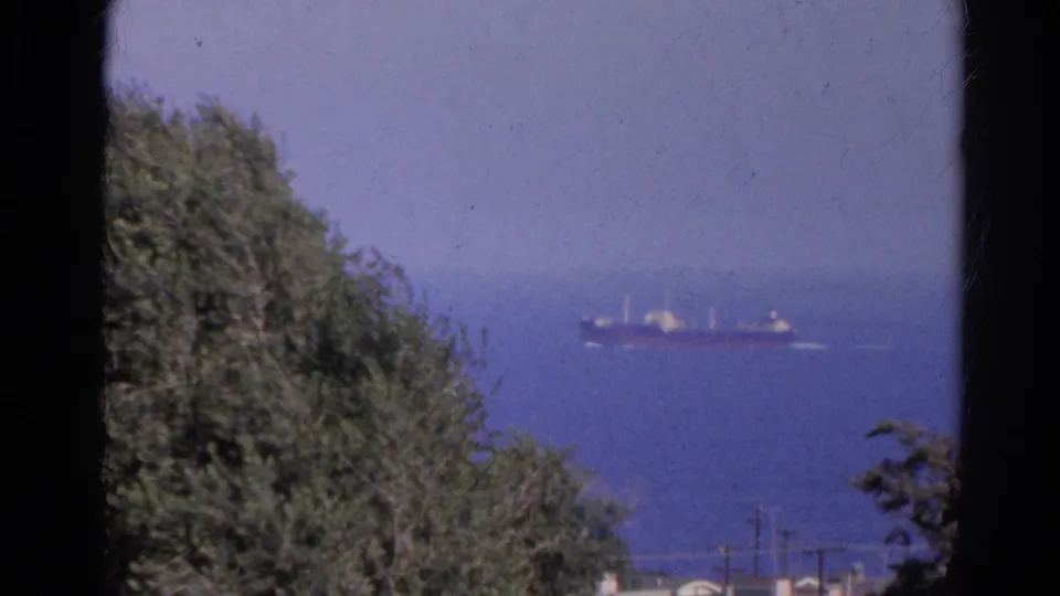 A distant cargo ship crosses blue water beyond dense foreground trees, with utility poles and a hazy shoreline visible in the 1966 reel frame.