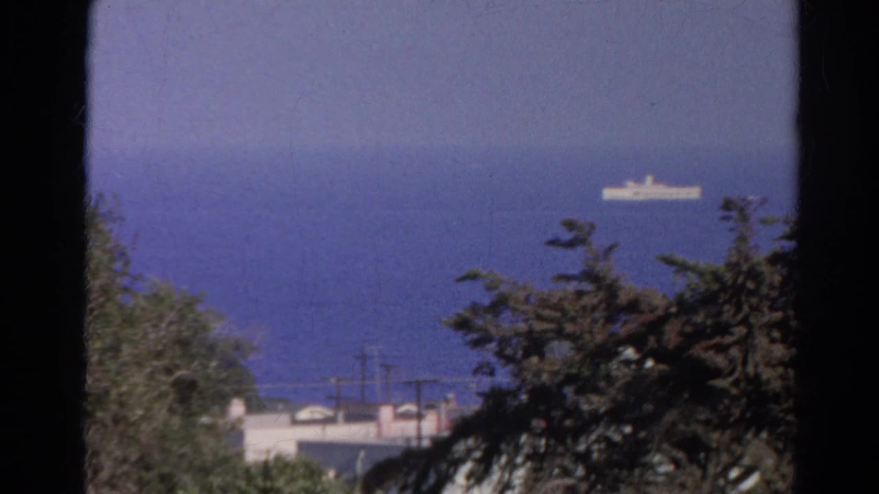 White ship offshore beyond trees, rooftops, and utility poles.