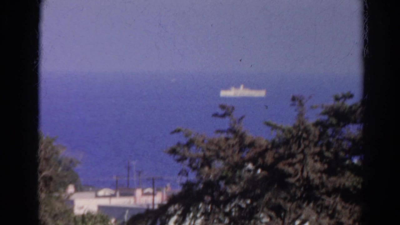 Distant white ship on blue water beyond trees and neighborhood rooftops.