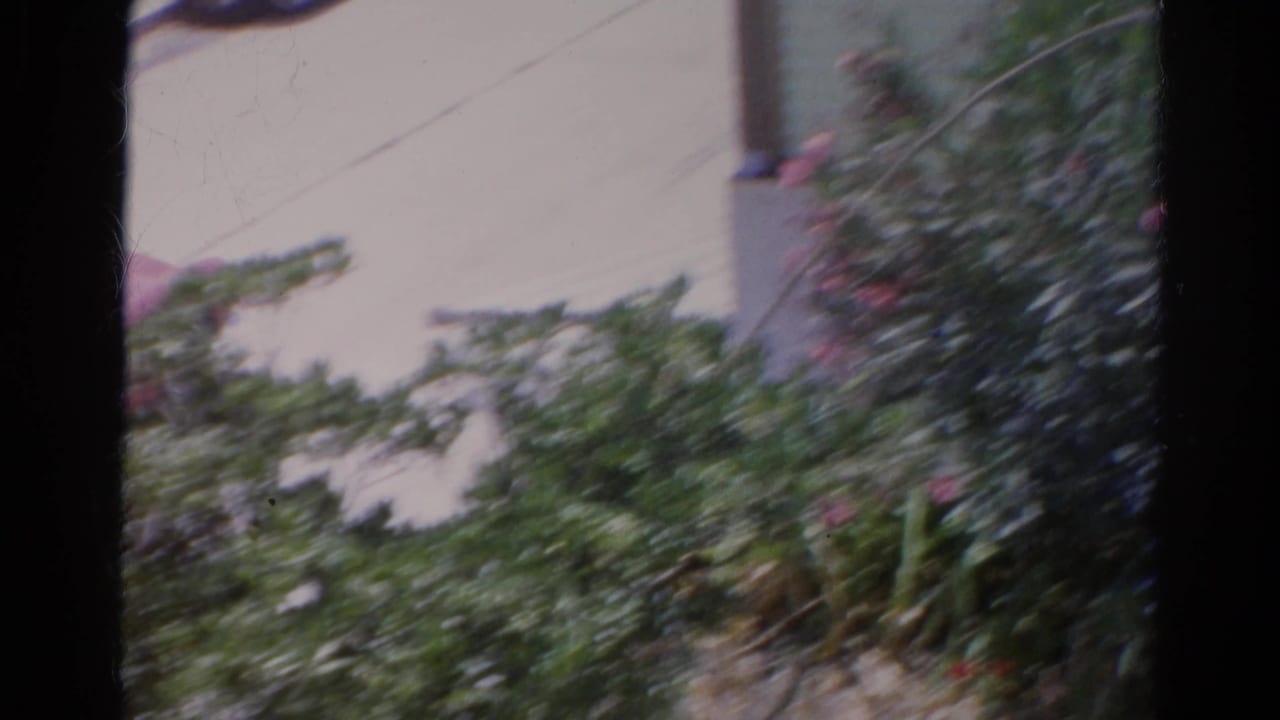 Blurred roadside shrubs and sidewalk area as the camera pans past the moving car.