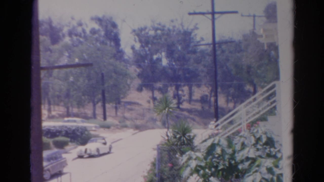 Residential street with a white convertible on the road, trees, utility poles, shrubs, and a white stairway.