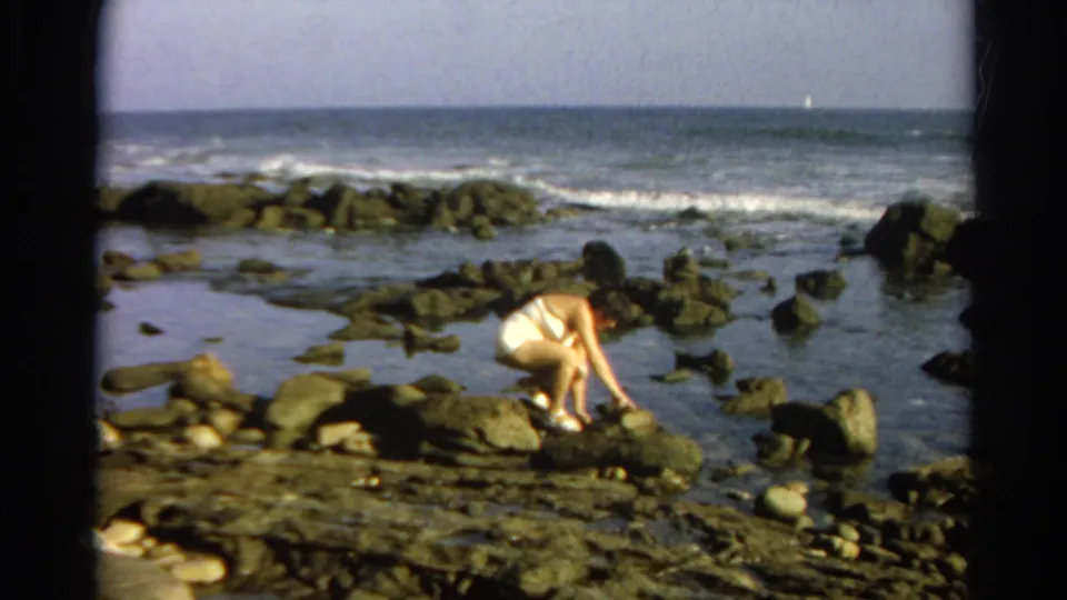 A woman crouches over a tide pool among shoreline rocks, with ocean waves and horizon visible behind her.