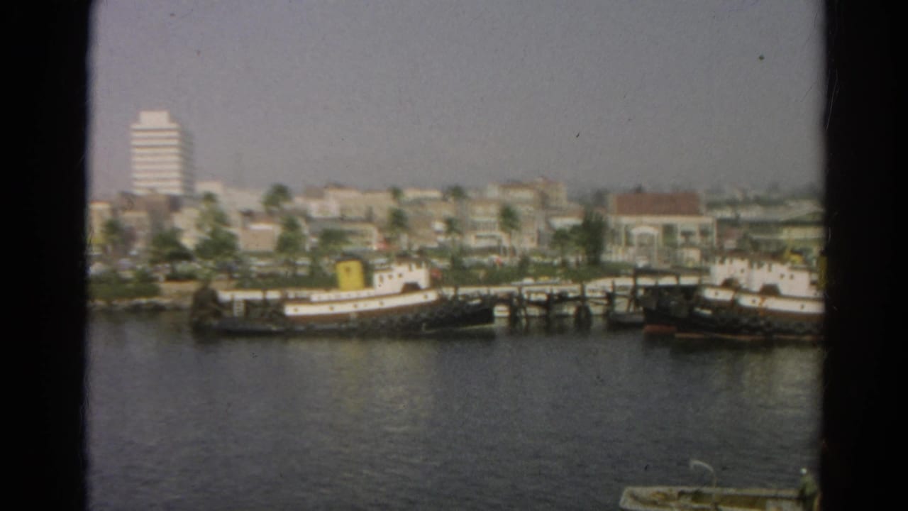 Waterfront view with docked boats, palm trees, low-rise buildings, and a white high-rise beyond the shore.