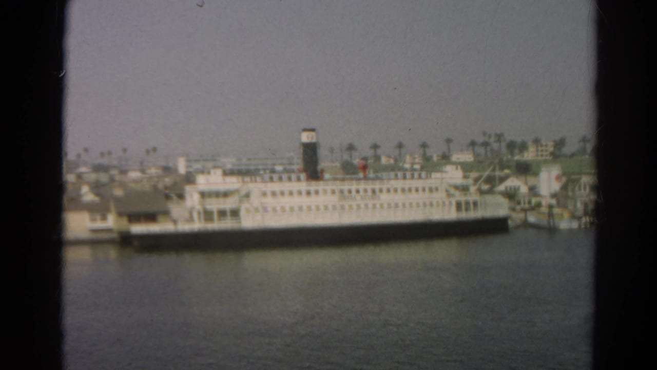 White multi-level passenger ship docked near palm trees and low waterfront buildings.