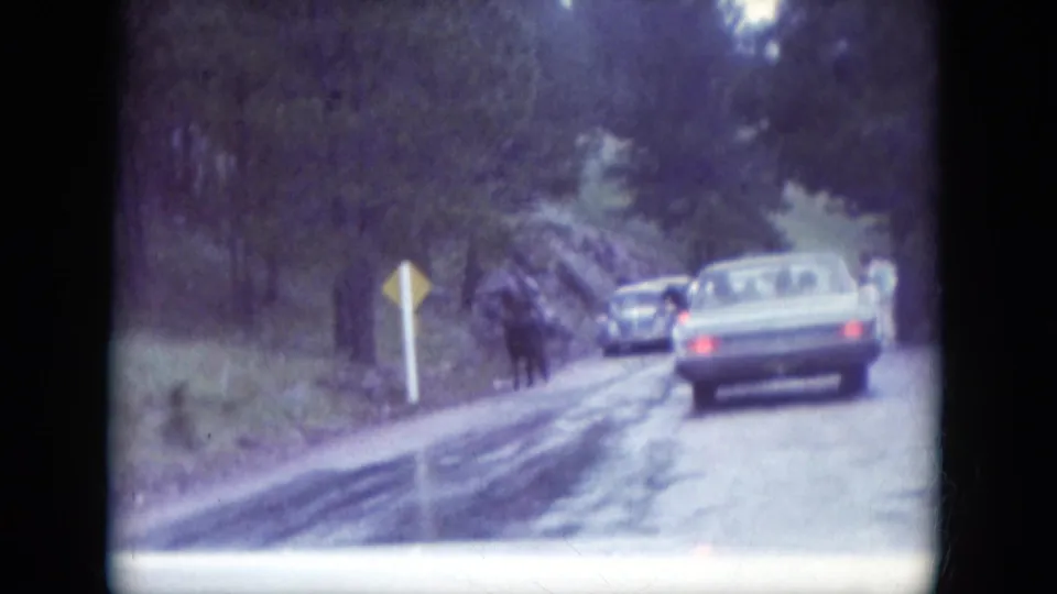 1966 South Dakota home-movie frame of cars traveling on a wet country road bordered by trees and a roadside sign.