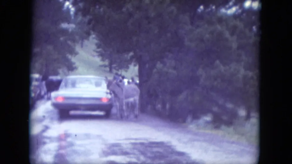 1966 South Dakota 8mm frame showing a car stopped on a damp rural road while a donkey stands near the passenger side beneath trees.