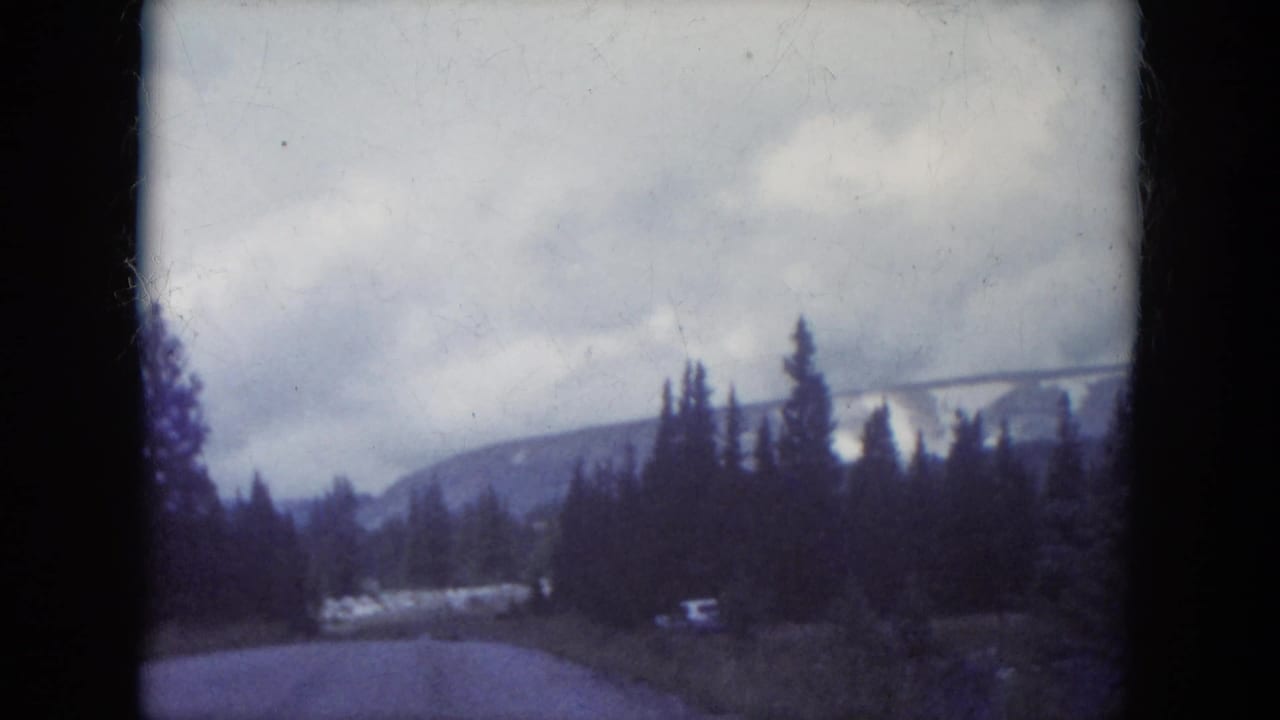 1966 South Dakota travel shot from a moving vehicle, with a road curving past tall pines toward distant hills and light snow patches.