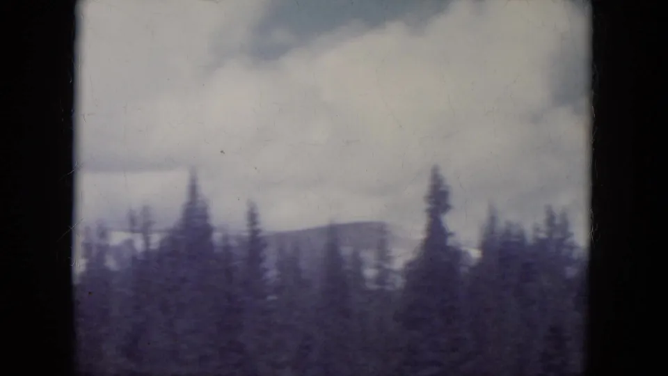 Vehicle-shot 8mm frame with blurred evergreen trees and distant hills, consistent with 1966 South Dakota mountain travel footage.
