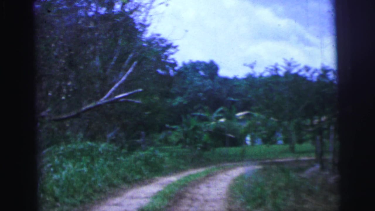 Winding dirt track bordered by grass, trees, and fence posts under a cloudy sky.