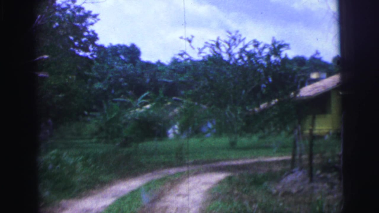 Dirt track curving past tropical plants toward a partially visible yellow house.