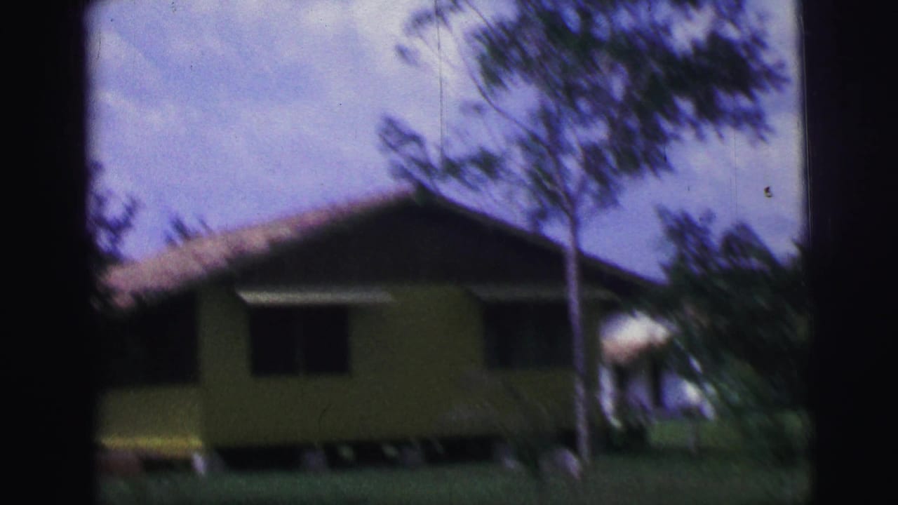 Soft 8mm view of a yellow house in rural Brazil, partly obscured by foreground trees and motion blur.