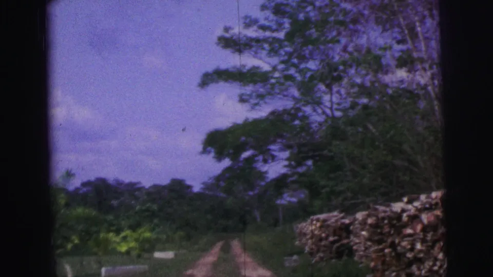 Rural Brazil 8mm frame with a dirt track, dense trees, cloudy sky, and a stacked woodpile near the path.
