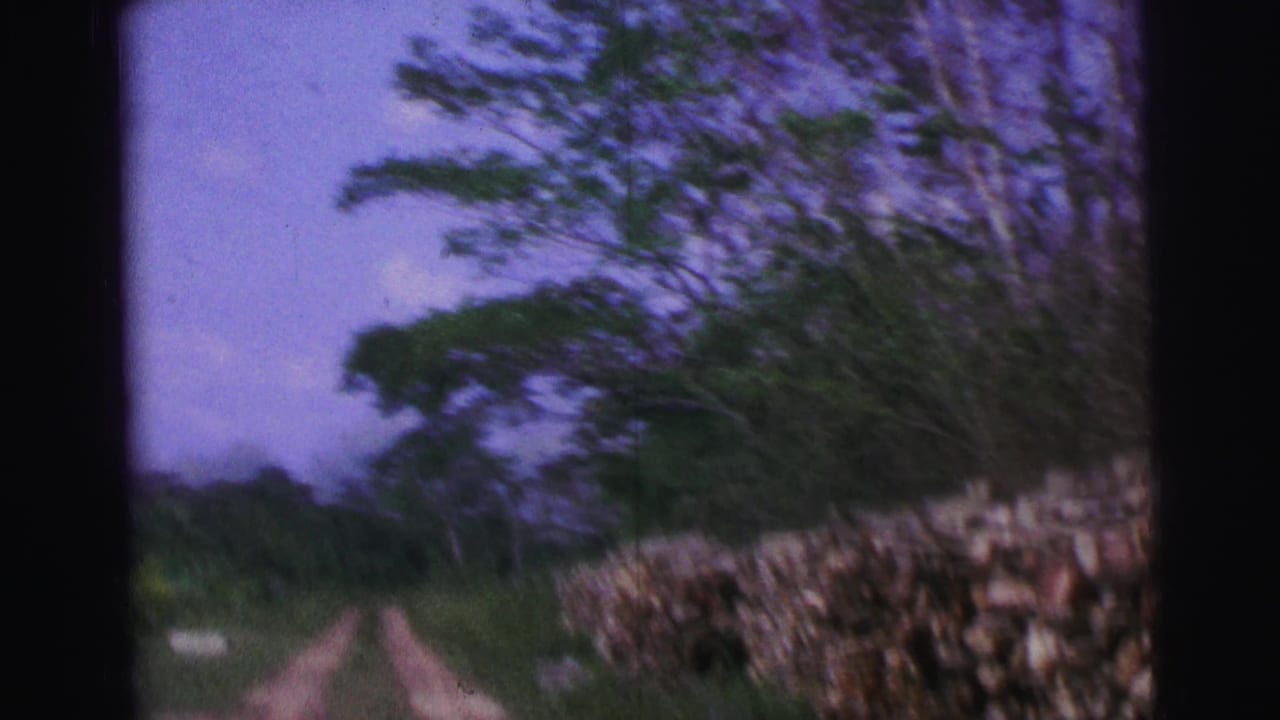 Dirt track beside a stone wall and trees, seen from a moving 8mm camera.