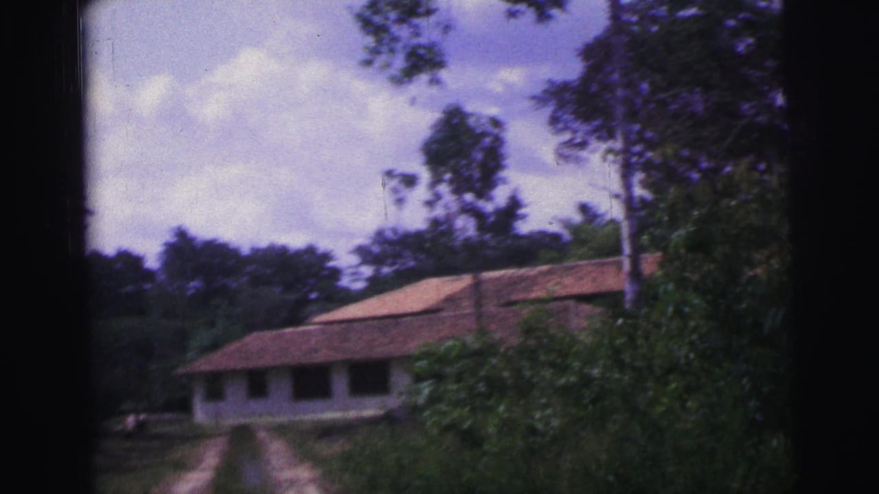 Single-story tiled-roof house ahead at the end of a dirt driveway.