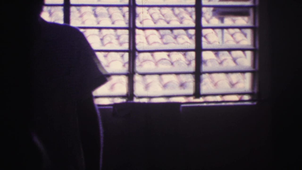 Silhouetted person standing beside barred windows with a tiled roof outside.