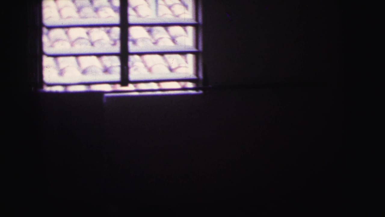 Barred window and tiled roof seen from inside a dark room.
