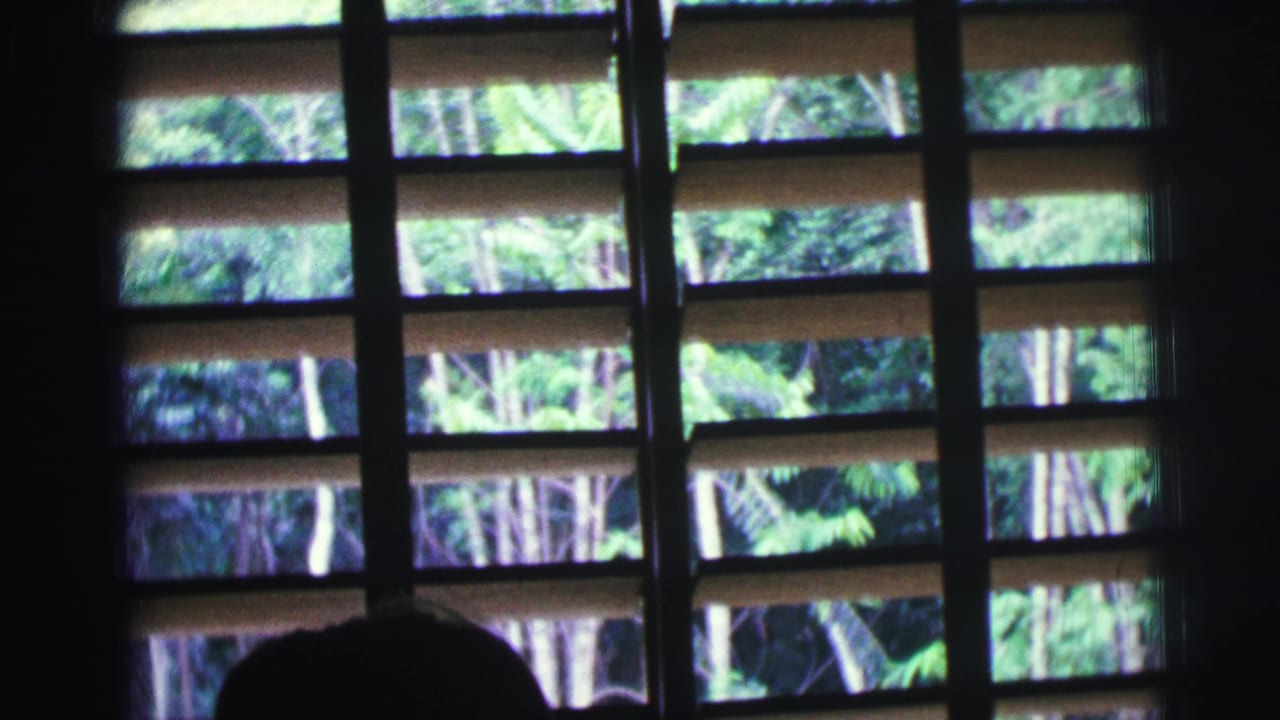 Dark interior view through louvered window panels toward green trees outside.