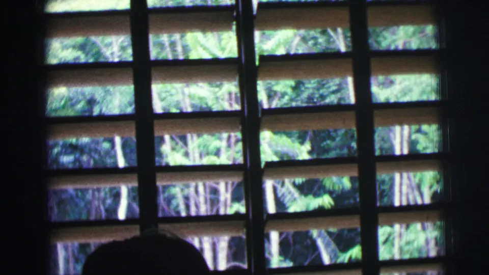 1967 Brazil 8mm frame showing dark wooden window slats and bright green trees outside, with a partial silhouette at lower left.