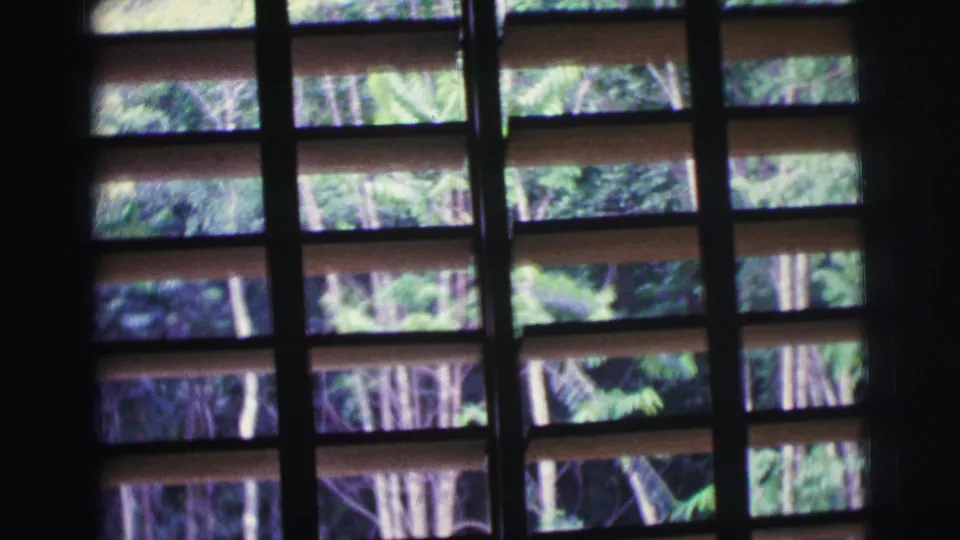1967 Brazil home-movie frame with dark window mullions, horizontal slats, and sunlit green vegetation beyond the glass.