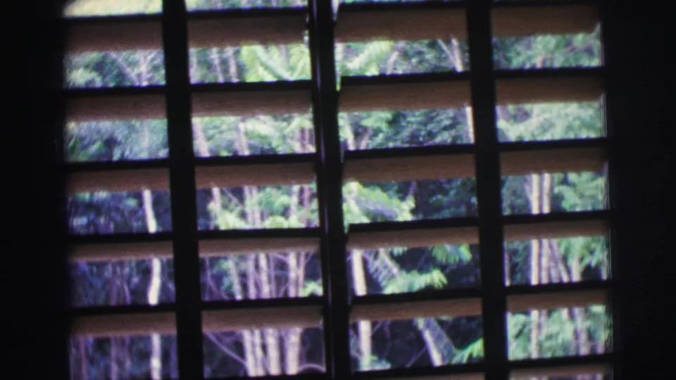 1967 Brazil 8mm view through wooden louvered panels, with exterior foliage visible through the bright openings.